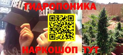 дживик Шебекино